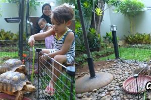 7 Potret taman rumah Lesti Kejora, minimalis tapi asri banget