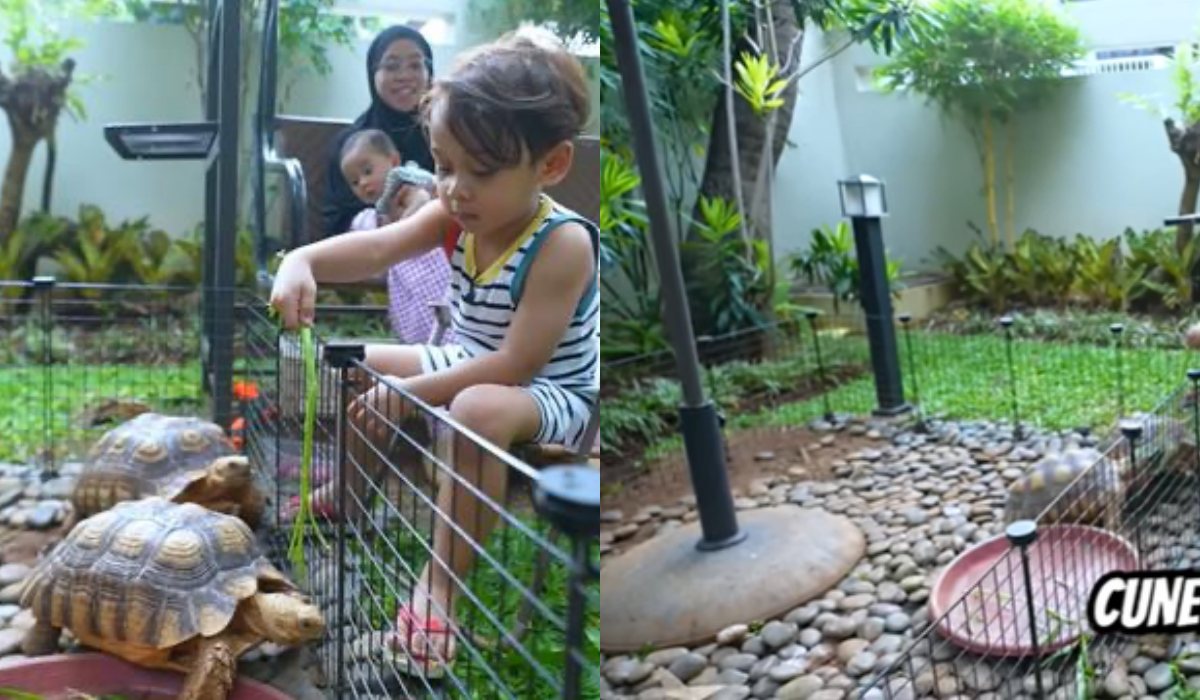 7 Potret taman rumah Lesti Kejora, minimalis tapi asri banget