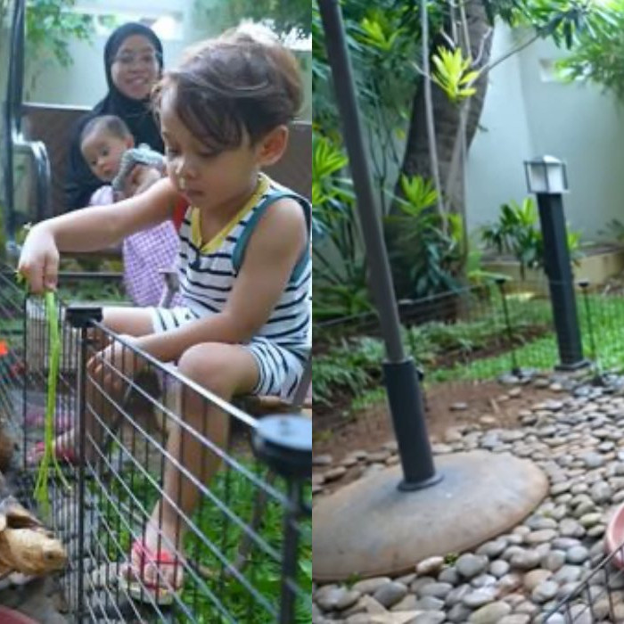 7 Potret taman rumah Lesti Kejora, minimalis tapi asri banget