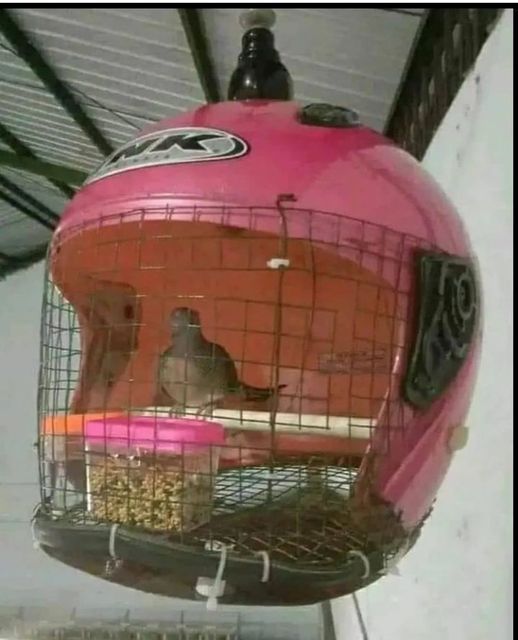 11 Ide kocak saat kepepet yang nggak masuk akal tapi malah berhasil, bukti otak manusia emang ajaib