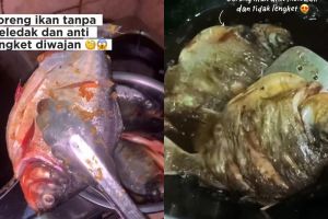 Rahasia goreng ikan biar aman tanpa bikin minyak meletup dan wajan lengket, kuncinya di 1 rempah ini