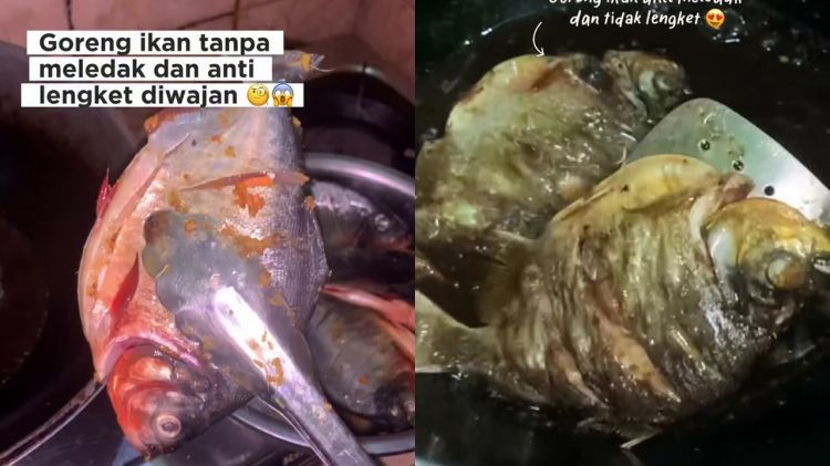 Rahasia goreng ikan biar aman tanpa bikin minyak meletup dan wajan lengket, kuncinya di 1 rempah ini