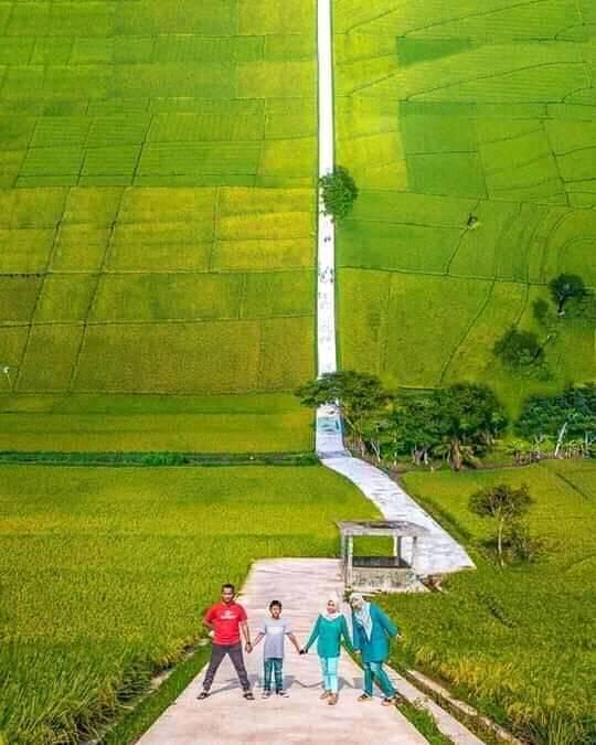11 Penampakan sawah nyeleneh bikin geleng kepala, kreatif tapi absurd banget sampai susah percaya mata
