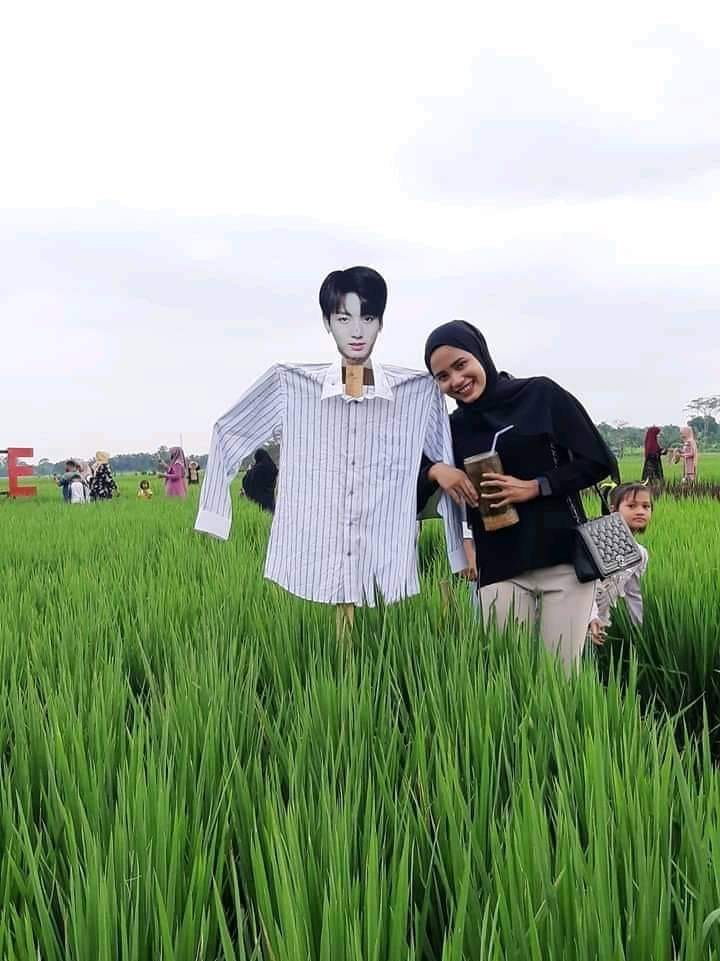 11 Penampakan sawah nyeleneh bikin geleng kepala, kreatif tapi absurd banget sampai susah percaya mata