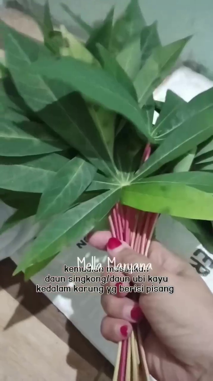 Bukan karbit, ternyata jenis daun ini bisa bikin pisang cepat matang alami cuma dalam 2 hari