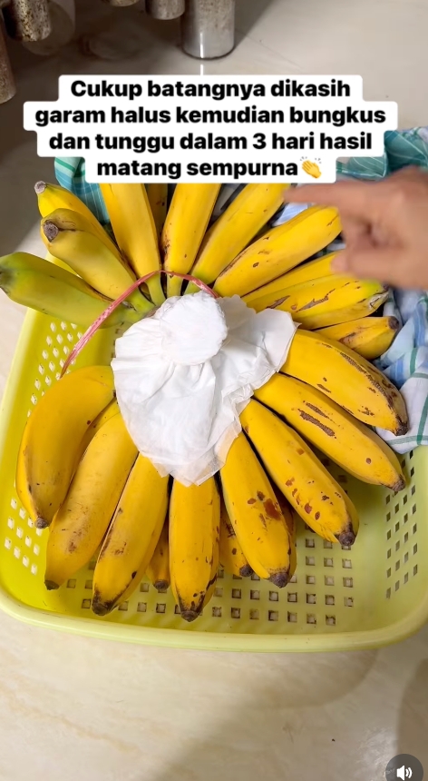 Cara alami mematangkan pisang mentah agar kuning sempurna tanpa karbit