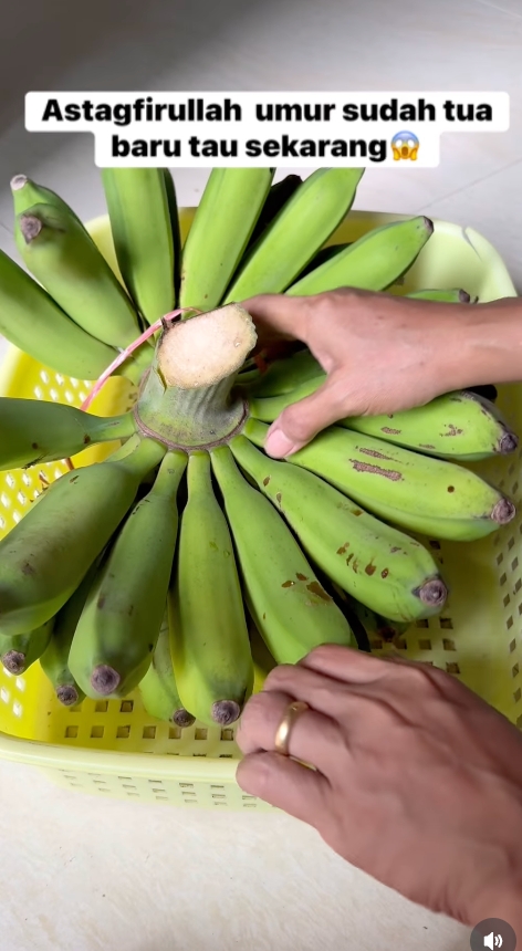 Cara alami mematangkan pisang mentah agar kuning sempurna tanpa karbit