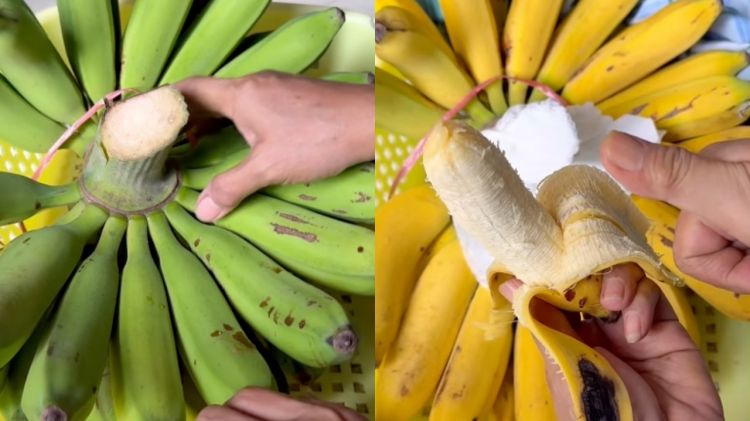Cara alami mematangkan pisang mentah agar kuning sempurna tanpa karbit