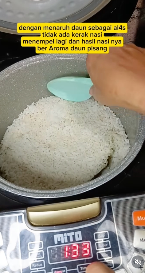 Trik receh tapi manjur: Alasi panci pakai daun ini, nasi matang sempurna tanpa lengket sedikit pun