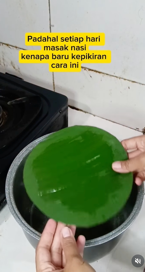 Trik receh tapi manjur: Alasi panci pakai daun ini, nasi matang sempurna tanpa lengket sedikit pun