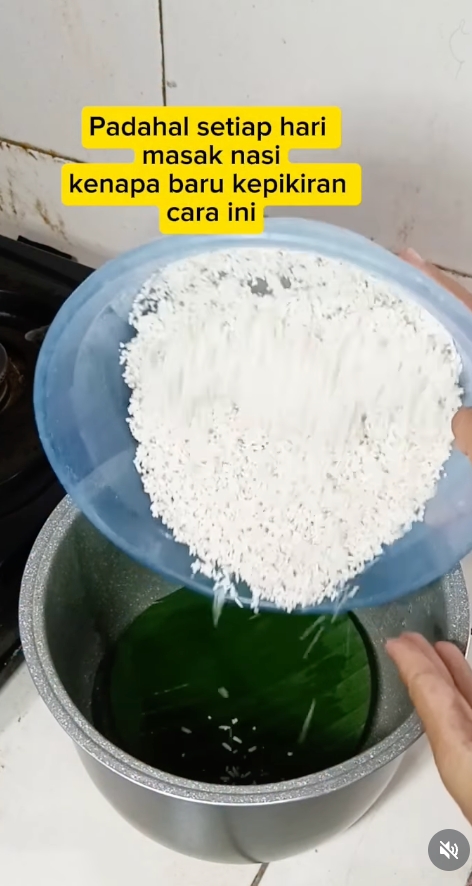 Trik receh tapi manjur: Alasi panci pakai daun ini, nasi matang sempurna tanpa lengket sedikit pun