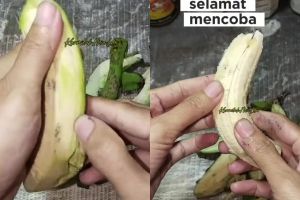 Cara mudah mengupas pisang mentah supaya kulitnya tidak lengket, ternyata cuma butuh 1 trik ini