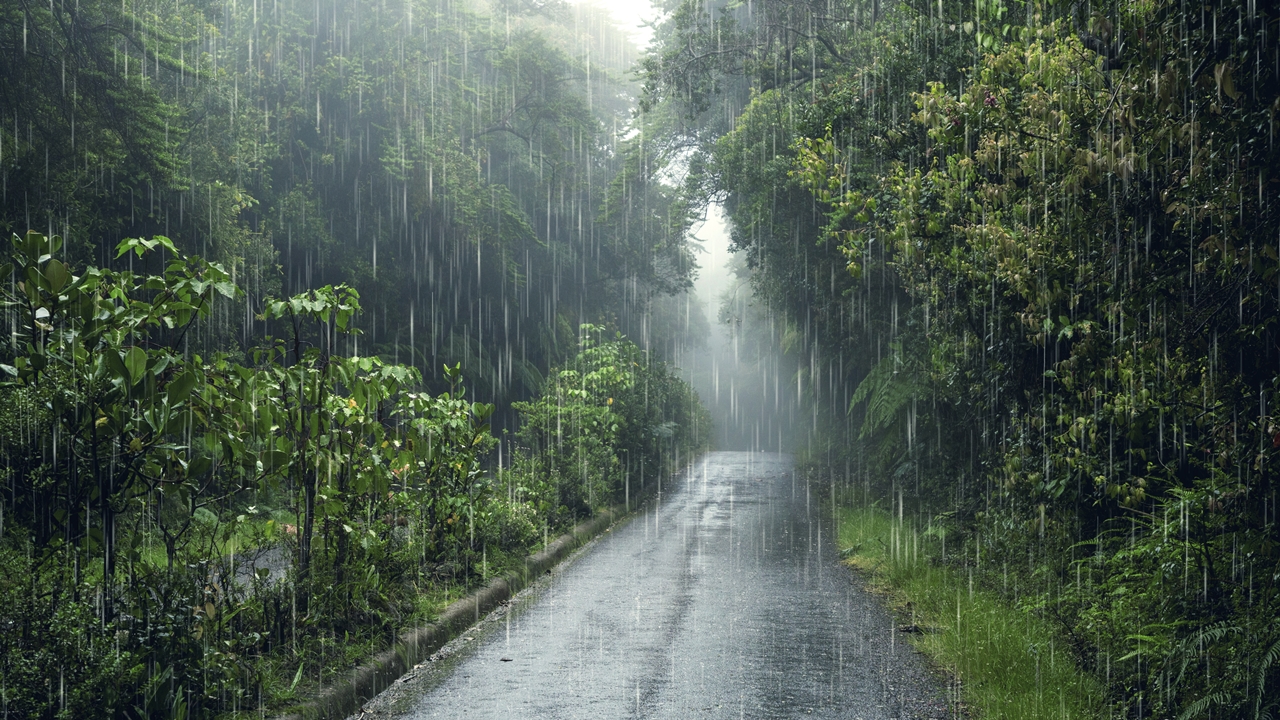 100 Kata-kata hujan sedih, ungakapan tangisan dari hati terdalam