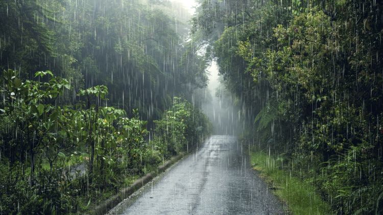 100 Kata-kata hujan sedih, ungakapan tangisan dari hati terdalam