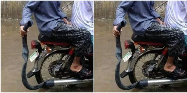 11 potret pengendara motor ini bikin geleng kepala, hobi nyusahin diri sendiri tapi lucunya kebangetan