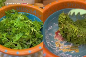 Suka makan kenikir tapi takut rasanya pahit? Begini cara mengolahnya biar lebih enak dan empuk