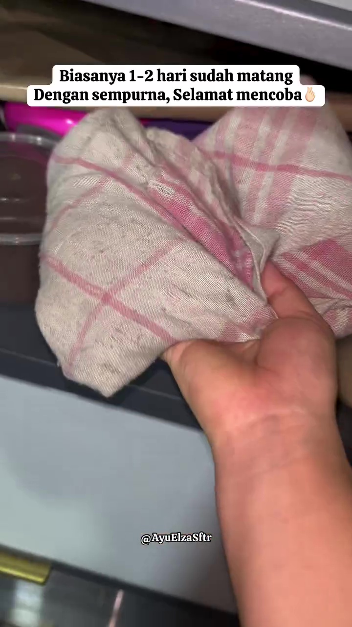 Tak banyak yang tahu! Ternyata garam bisa bikin alpukat matang dalam sehari, begini cara pakainya