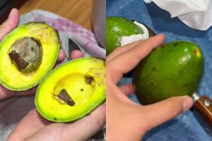 Tak banyak yang tahu! Ternyata garam bisa bikin alpukat matang dalam sehari, begini cara pakainya