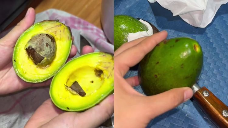 Tak banyak yang tahu! Ternyata garam bisa bikin alpukat matang dalam sehari, begini cara pakainya