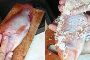 Tak perlu susah payah dikerik pakai pisau, ini cara praktis bersihkan sisik ikan tanpa alat