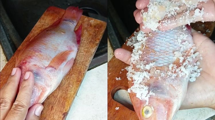 Tak perlu susah payah dikerik pakai pisau, ini cara praktis bersihkan sisik ikan tanpa alat