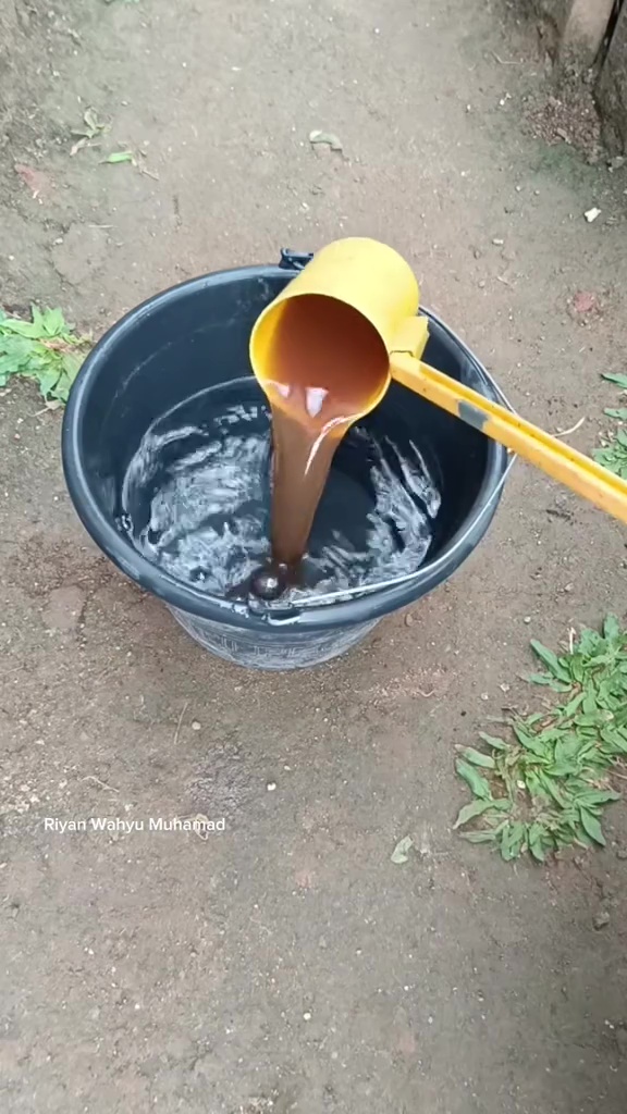 Ingin tanaman tomat berbuah lebat? Rahasianya cuma pakai pupuk organik dari 2 bahan dapur ini