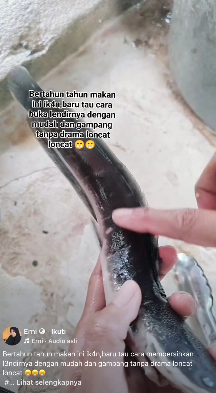 Bebas drama licin, begini cara cepat bersihkan lendir lele agar kesat tak loncat-loncat