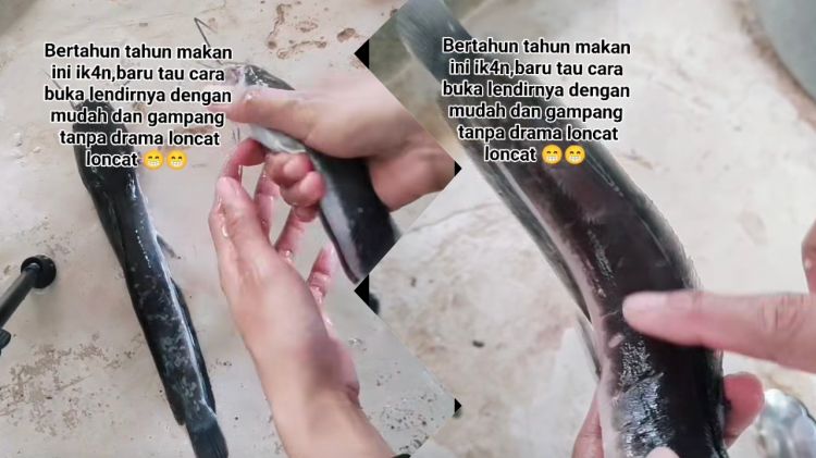 Bebas drama licin, begini cara cepat bersihkan lendir lele agar kesat tak loncat-loncat