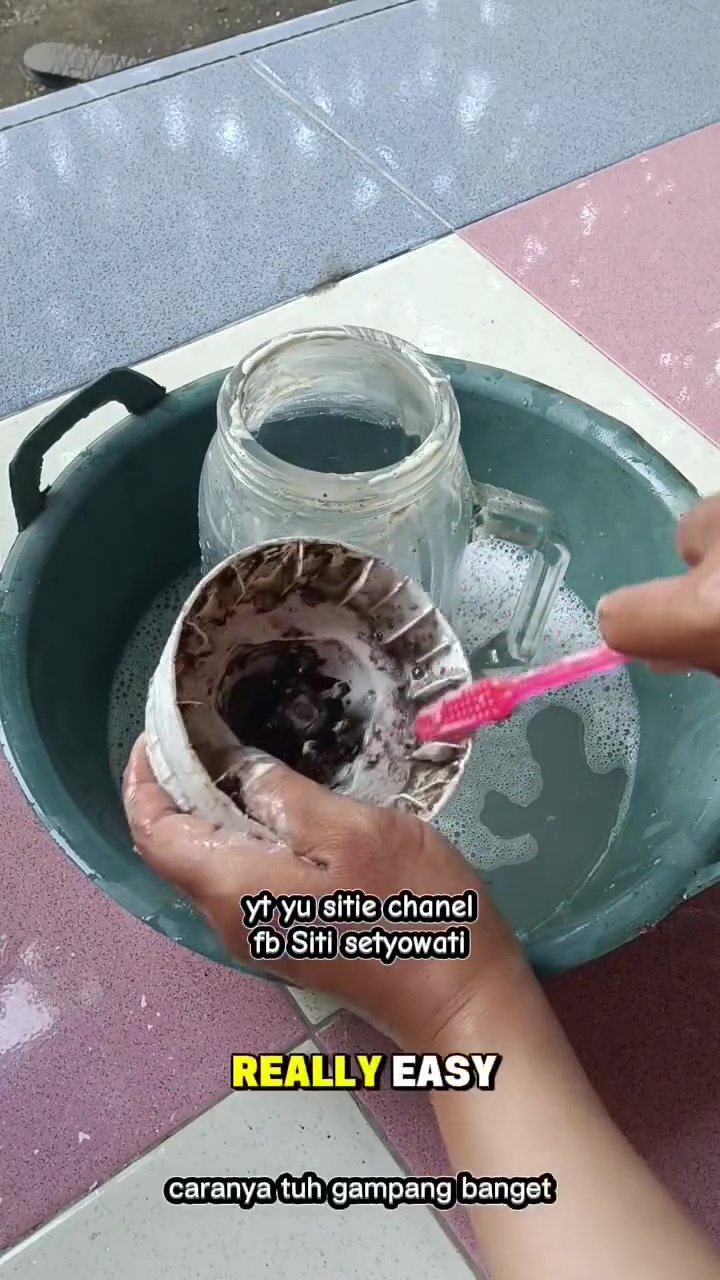 Jangan biarkan karet dan mesin blender hitam berlumut! Segera cuci pakai cara ini biar steril lagi