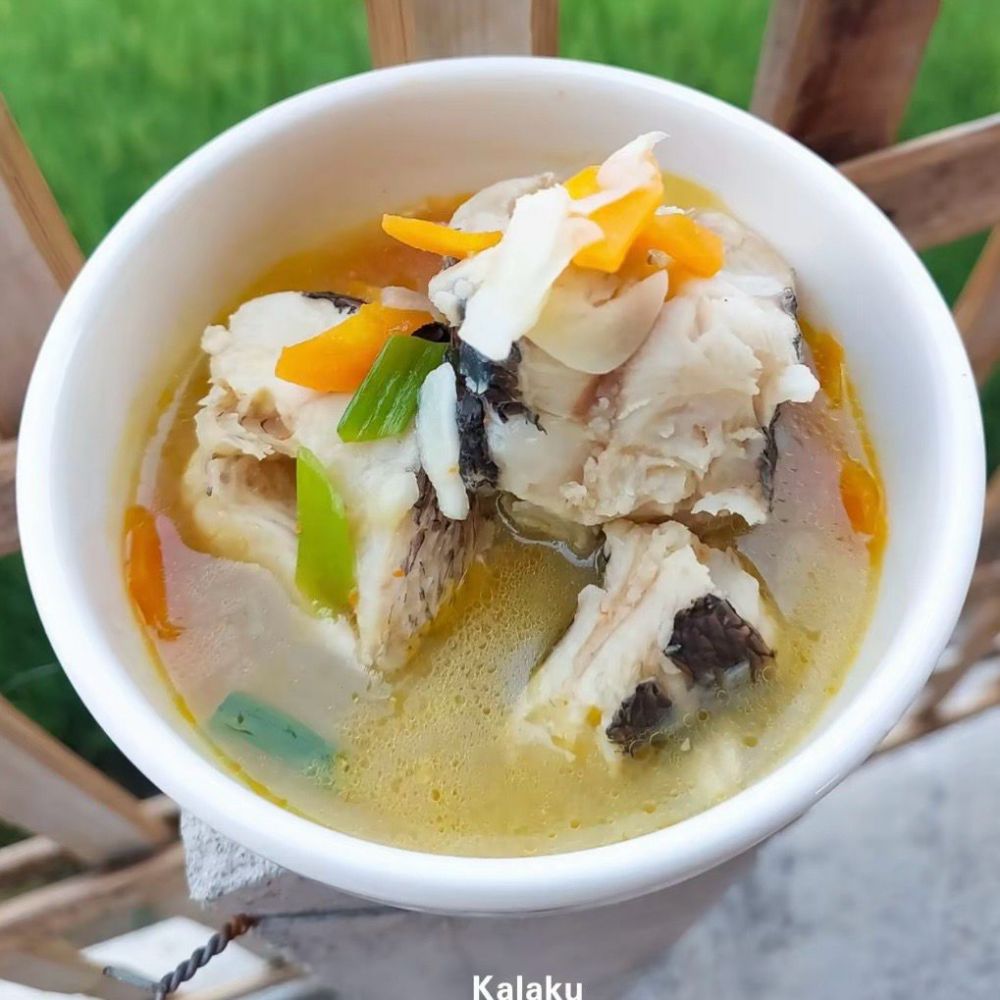 5 Resep olahan ikan gabus gurih dengan bumbu mild yang bisa dinikmati semua umur hingga sebagai MPASI