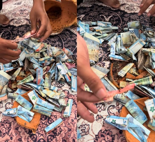 Awalnya curiga celengan terasa ringan, pria ini bongkar tabungannya yang ternyata habis digigit rayap