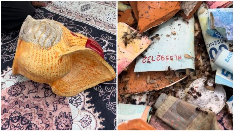 Awalnya curiga celengan terasa ringan, pria ini bongkar tabungannya yang ternyata habis digigit rayap