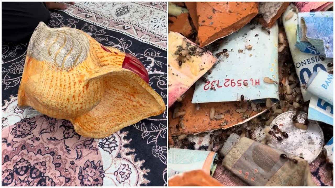 Awalnya curiga celengan terasa ringan, pria ini bongkar tabungannya yang ternyata habis digigit rayap