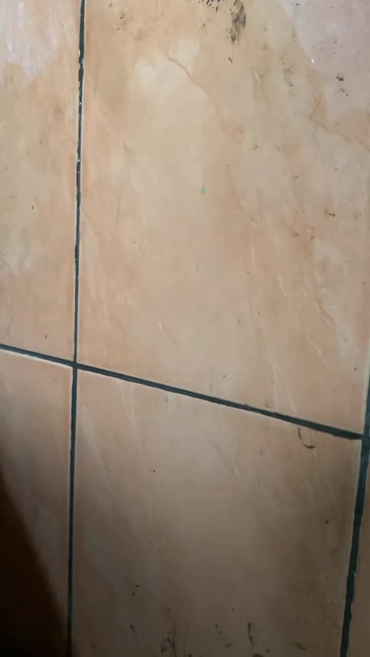 Trik jitu bersihkan dinding kamar mandi berkerak dan berlumut, rahasianya di 1 bahan dapur ini 