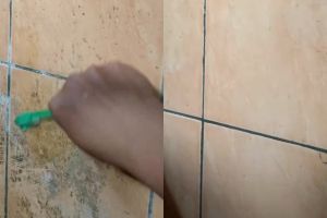 Trik jitu bersihkan dinding kamar mandi berkerak dan berlumut, rahasianya di 1 bahan dapur ini 