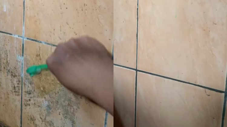 Trik jitu bersihkan dinding kamar mandi berkerak dan berlumut, rahasianya di 1 bahan dapur ini