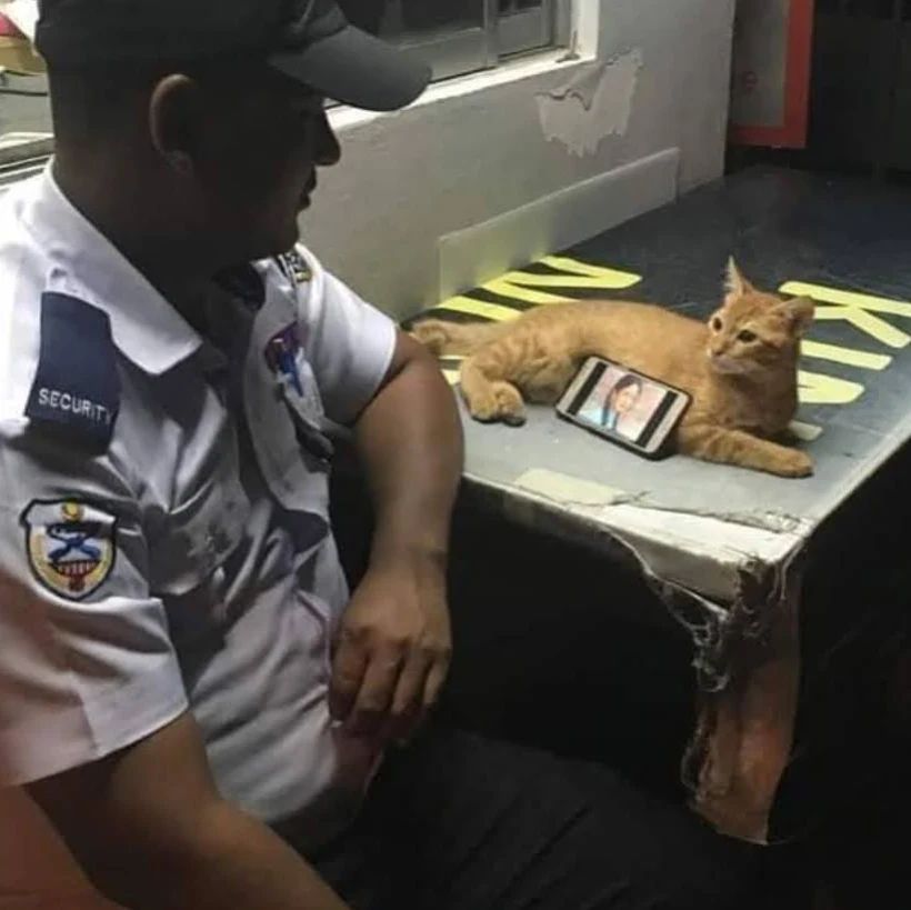 15 Life hack nyeleneh buat nonton di hp, solusi antipegal buat para pecinta rebahan