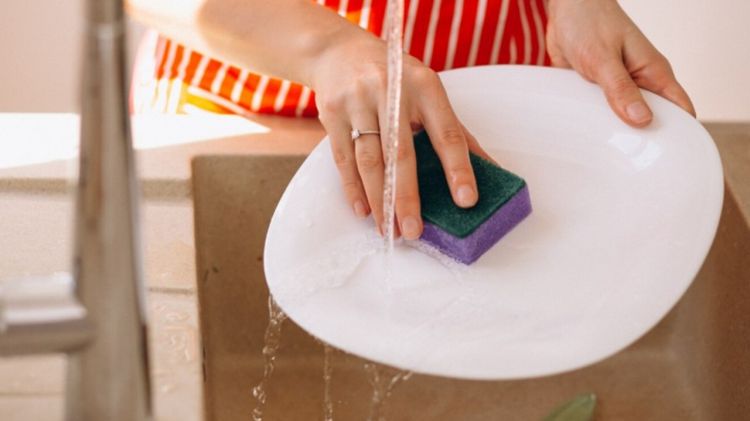 Bisa jadi sarang jamur, dokter ini bagikan trik aman pakai spons cuci piring agar bebas kontaminasi