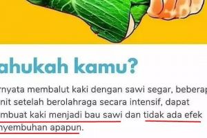 11 Postingan ‘sekadar info’ di Facebook ini bikin emosi, dari lucu sampai nggak masuk akal