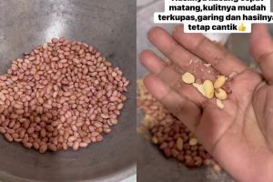 Wajib tahu! Ini trik sangrai kacang tanah agar cepat matang, lebih renyah, dan mudah dikupas kulitnya