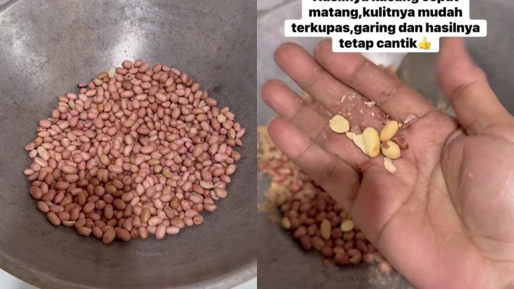 Wajib tahu! Ini trik sangrai kacang tanah agar cepat matang, lebih renyah, dan mudah dikupas kulitnya