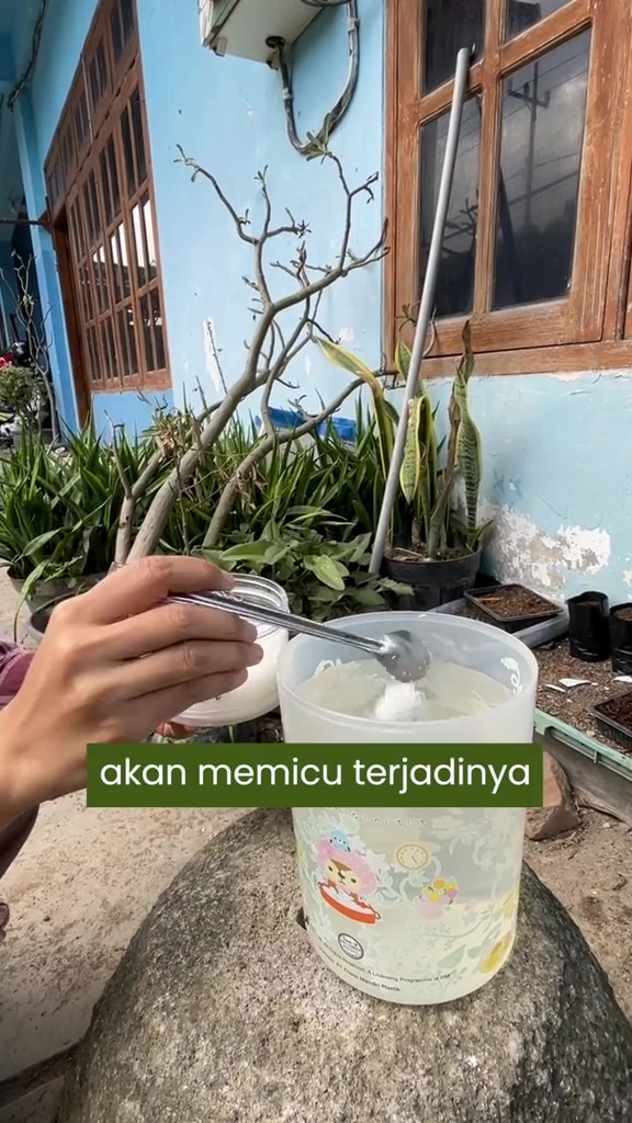 Ingin daun tanaman seledri mulus dan bebas ulat? Coba siramkan larutan bahan dapur ini buat cegah hama