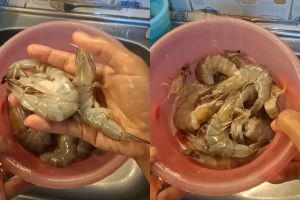 Kehabisan stok cuka dan jeruk nipis untuk basmi bau amis di udang? Coba ganti dengan 1 bahan dapur ini