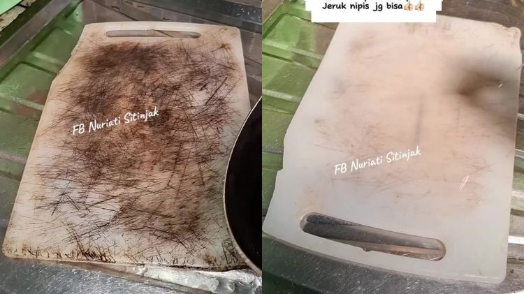 Ingin mengubah talenan plastik menghitam jadi cerah lagi seperti baru? Coba pakai trik jitu ini