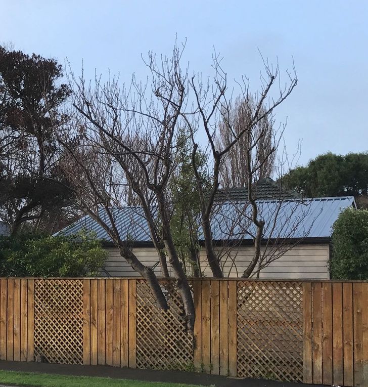 Dunia ini simulasi, 11 potret "glitch" ini persis film the matrix, bikin merinding dan bingung banget