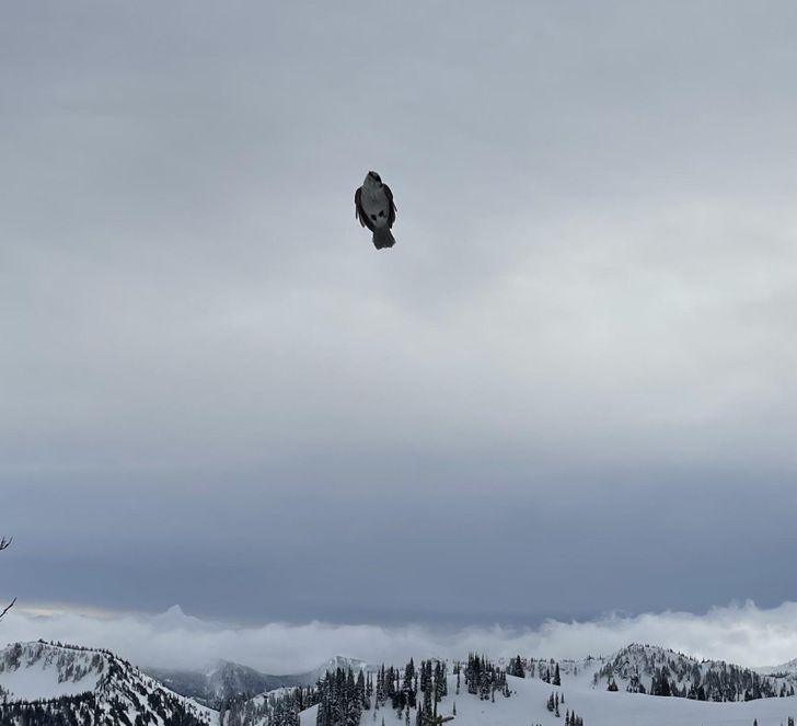 Dunia ini simulasi, 11 potret "glitch" ini persis film the matrix, bikin merinding dan bingung banget