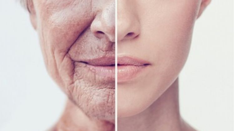 Haluskan wajah dan pudarkan kerutan dengan 1 jenis umbi-umbian, begini triknya