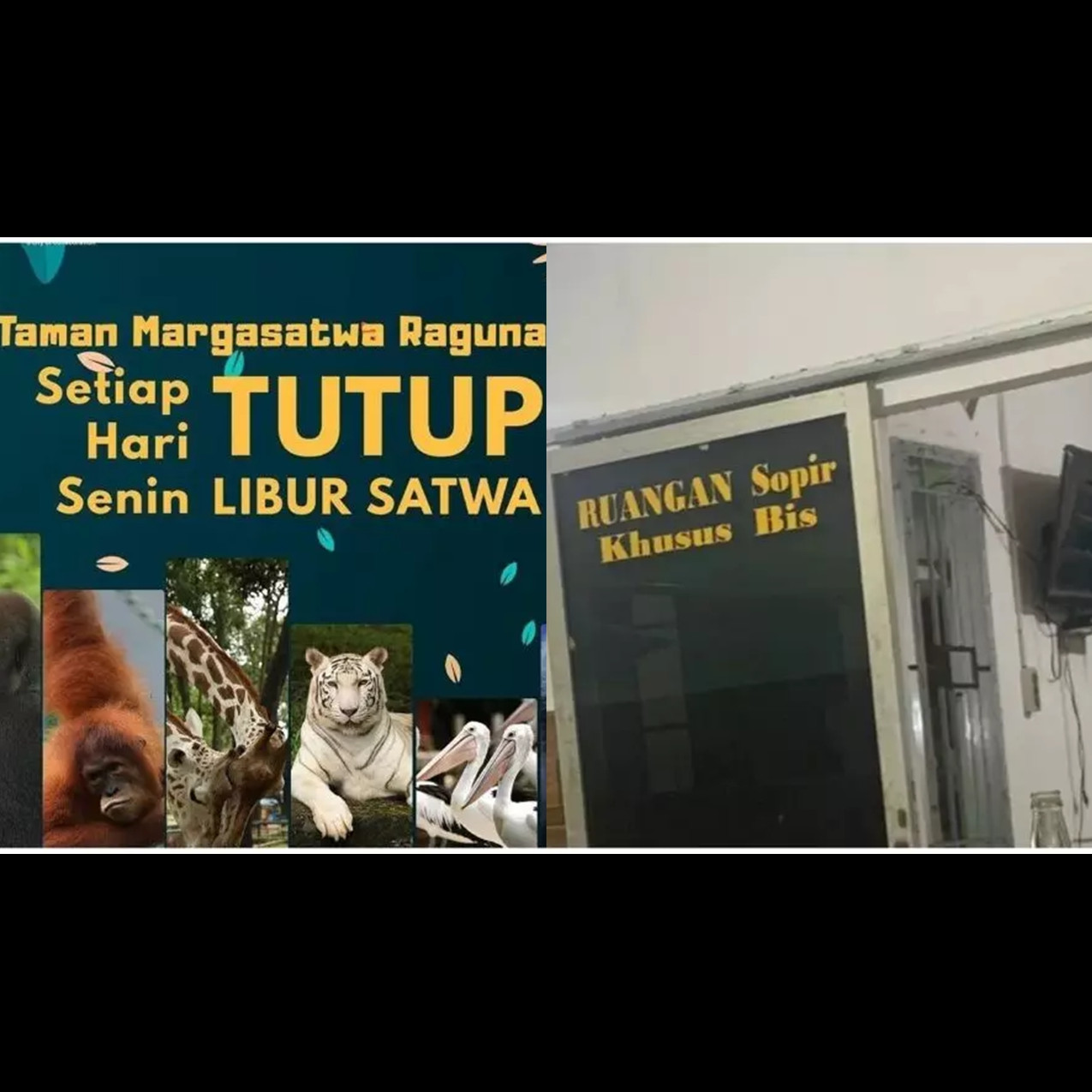 11 Tulisan pengumuman paling absurd yang bikin salah paham, bacanya harus dua kali biar ngeh