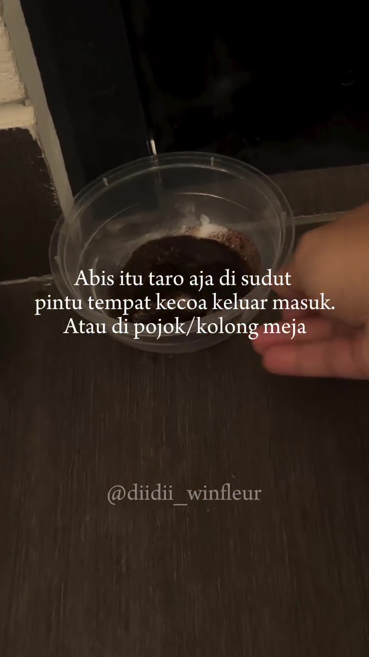 Sebal dengan serangga di rumah? Racikan bahan dapur ini bisa ampuh mengatasinya biar nggak balik lagi