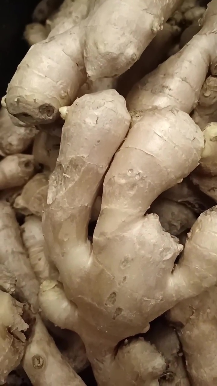 Jangan cuma dicek aromanya, ini cara ampuh pilih jahe yang berkualitas dan tak pahit